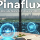 Pinaflux