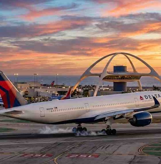 delta flight dl275 diverted lax